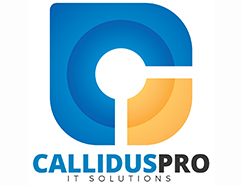 Lo Studio Legale Chiusano collabora con Callidus Pro - It Solution azienda informatica operante nel web a tutto tondo