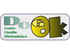Lo Studio Legale Chiusano collabora con l'Associazione Dok Ok A.s.d., associazione sportiva dilettantistica